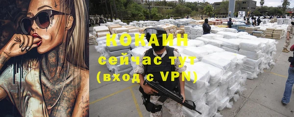 тгк Алексин